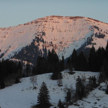 Allgaeustueble Steibis Buitenkant foto