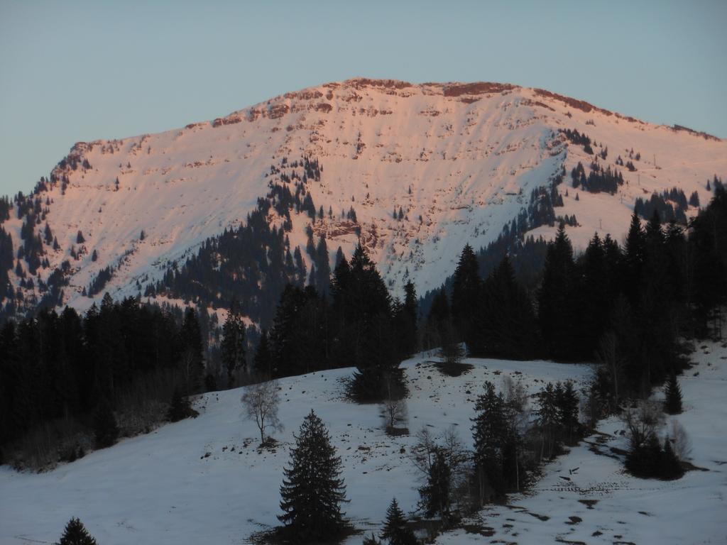 Allgaeustueble Steibis Buitenkant foto